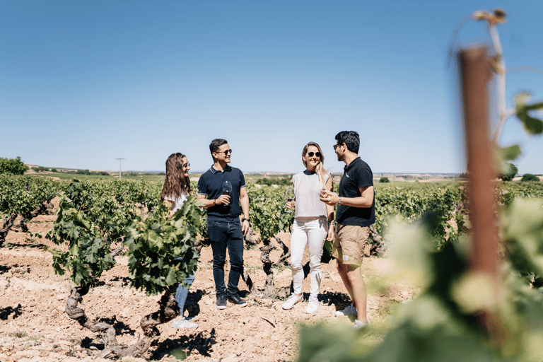 De Madri: vilarejos tradicionais, visita a vinícolas e almoço de tapasTour em inglês