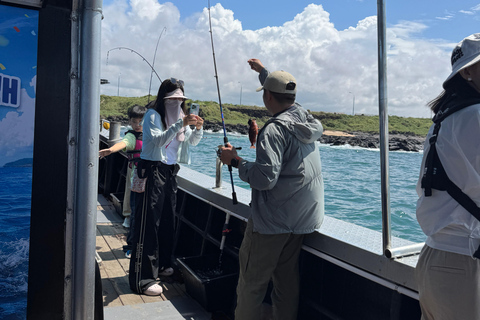 Chagwido Boat Fishing, Dolphin Watching with Local Lunch