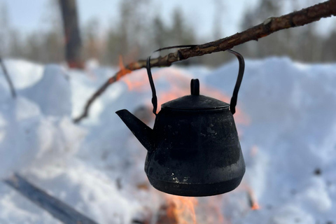 Levi: Excursión con raquetas de nieve y visita a una granja de renosPaseo con raquetas de nieve y visita a una granja de renos