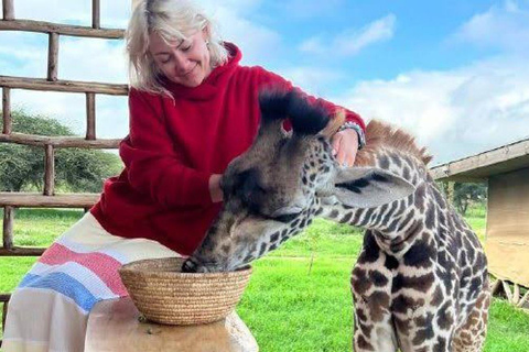 Arusha: Viagem de 1 dia com animais selvagens Serval com safari e almoço