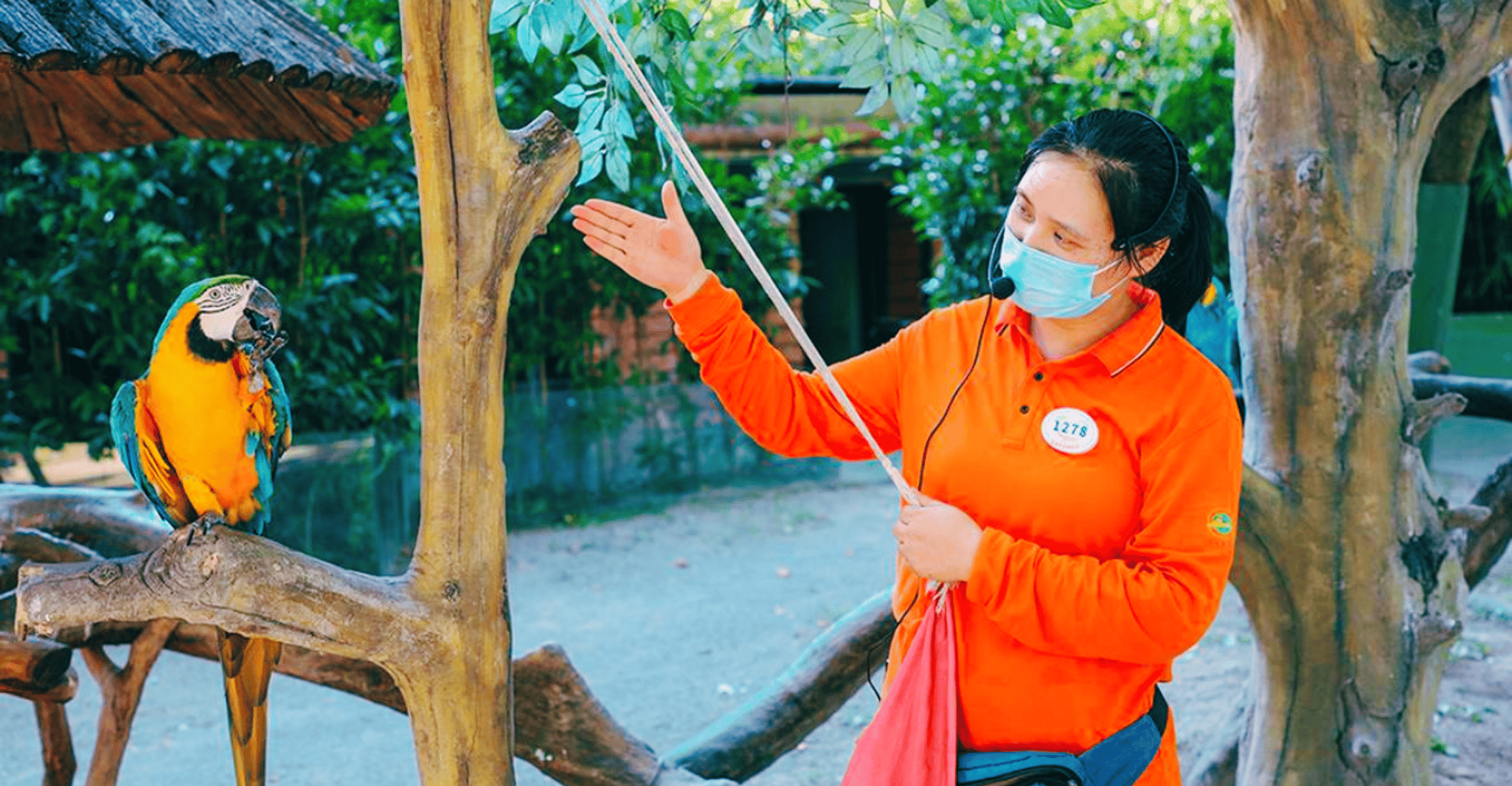 Shanghai: Wild Animal Park Ticket photo 9