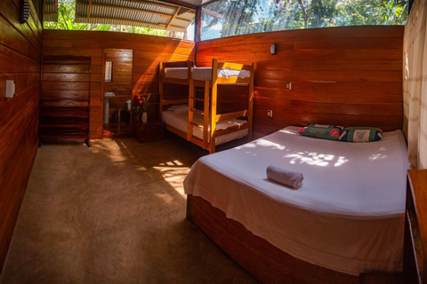 Tambopata: 2-Day Wildlife Tour With Jungle Lodge Stay