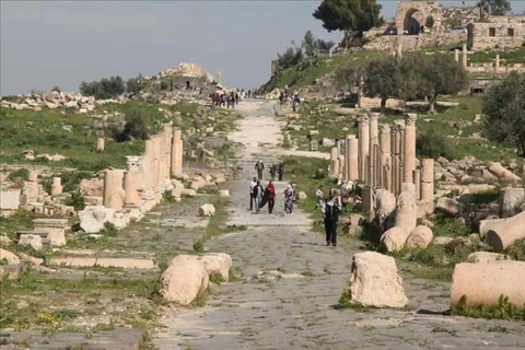 Jerash, Ajloun & Amman: Jordan's Top Highlights