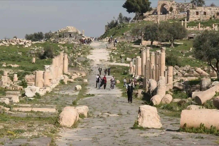 Jerash, Ajloun & Amman: Jordan's Top Highlights