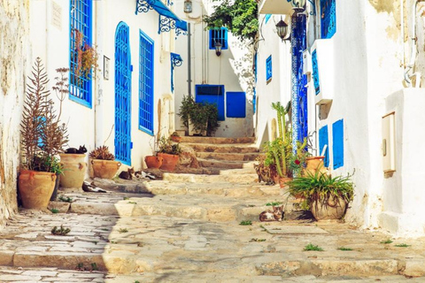 Wycieczka prywatna Muzeum Bardo, Kartagina, Sidi Bou Said i Medyna