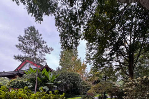 From Hangzhou: 5-Day Tour to Shanghai with Cruise & Lunches