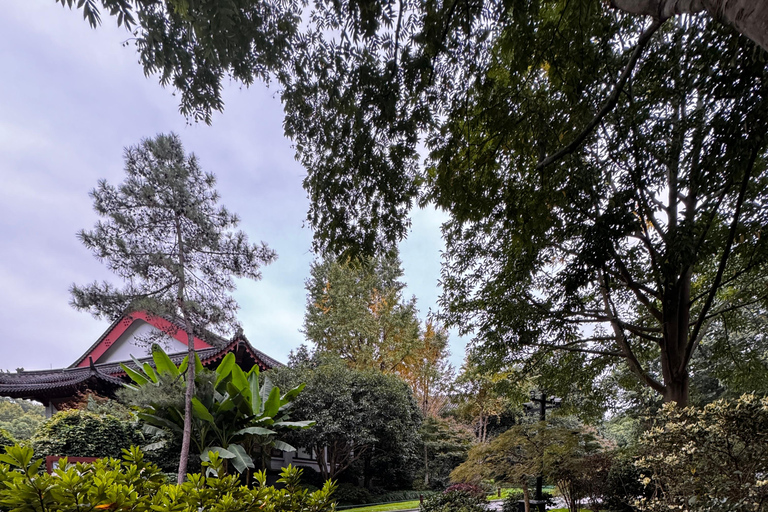 From Hangzhou: 5-Day Tour to Shanghai with Cruise & Lunches