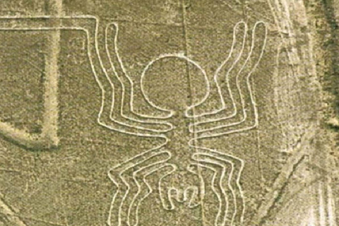 Nazca : Musée Maria Reiche et visite du point de vue des lignes de Nazca