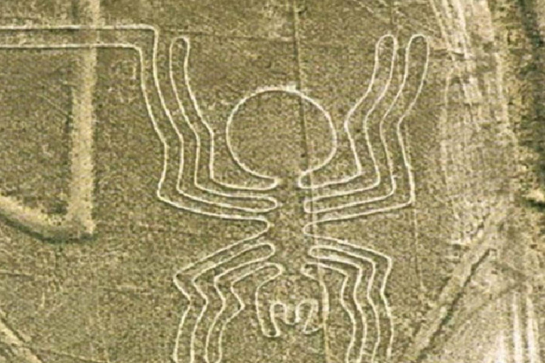 Nazca: Muzeum Marii Reiche i wycieczka do punktu widokowego Nazca Lines