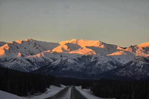 Denali Summer/ Qinter Trial Shuttle with Professional Camera