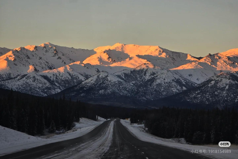 Denali Summer/ Qinter Trial Shuttle with Professional Camera