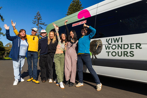 Grotta di Waitomo Ruakuri e Hobbiton: Il tour della scoperta magica