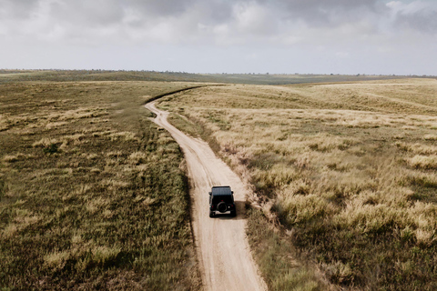 Tanzania Safari: Explore Tarangire and Lake Manyara's Wilds