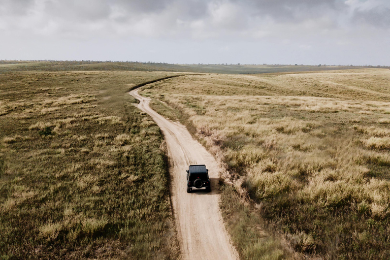 Tanzania Safari: Explore Tarangire and Lake Manyara's Wilds