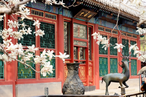 Pékin : Palais d'été, Route sacrée et Tombeaux Ming visite privéeVisite culinaire avec guide et transfert - pas de billet, pas de nourriture