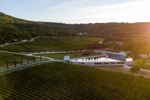 Aix-en-Provence: Art & Architecture Tour of Château La Coste