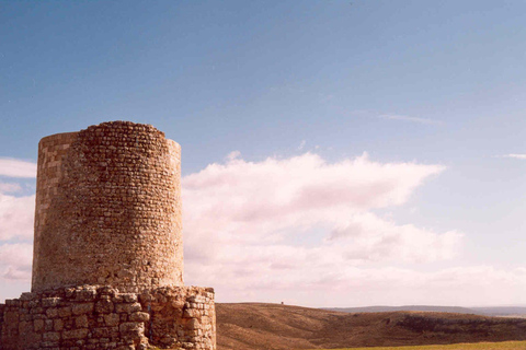 Guided tour of Burgo de Osma (by ECO-BUS)