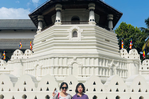 From Hikkaduwa: Kandy Transfer with Hidden Highlands Tour