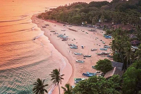 Pasikudah to Airport Transfer Hidden East Coast Adventure