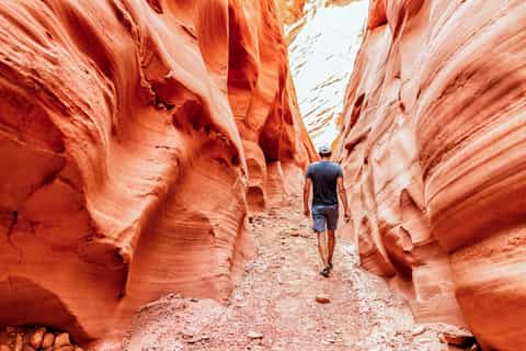 Desde Lago Powell Las Mejores Excursiones De D A Del