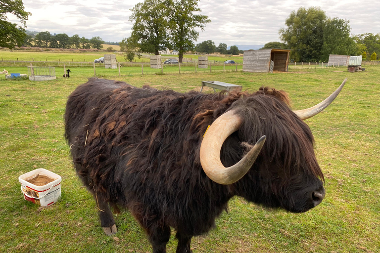 Inverness: Isle of Skye, Loch Ness, and Castles Day Trip