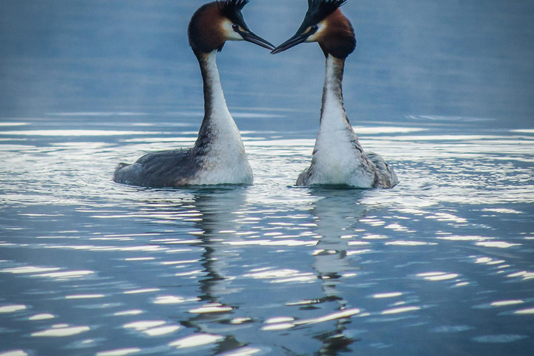 Queenstown and Environs: Full Day Private Photography Tour Queenstown: Full Day Private Photography Tour