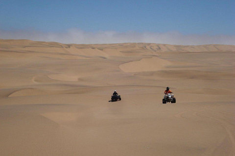 Swakopmund: 3-in-1 Kayaking, Sandboarding, & Quad Bike Tour