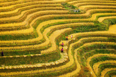 Guilin: Longji Rice Terraces and Minority Village tour