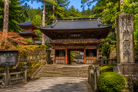 Tokyo: Nikko World Heritage & Nature Private Customized Tour