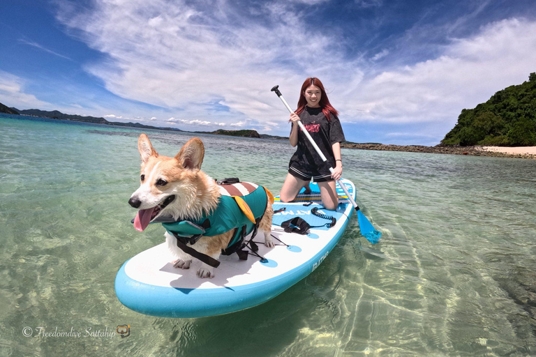 Pattaya/Rayong: Half day Snorkeling tour