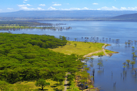 Nairobi: Lake Nakuru National Park &amp; Lake Naivasha Day Tourr