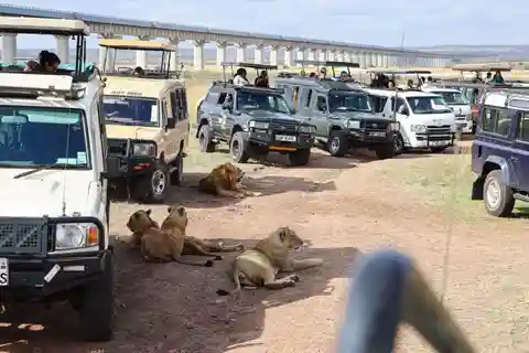 Parque Nacional de Nairóbi, Orfanato de Elefantes e Centro de Girafas