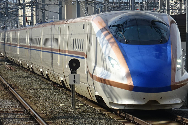 Japón: Paso del Arco de Hokuriku Tokio-Osaka