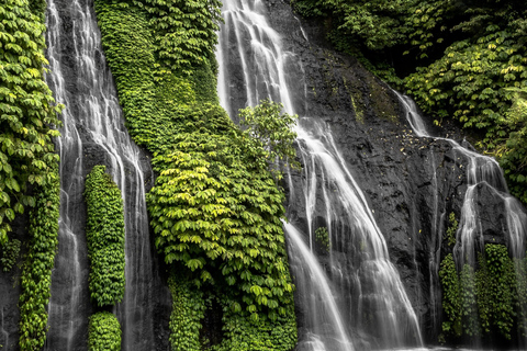 Lovina: Delfinbeobachtung, Gitgit Wasserfall und Ulun Danu