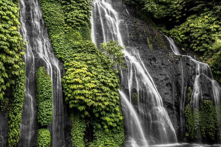 Lovina : Observation des dauphins, chute d'eau de Gitgit et Ulun Danu