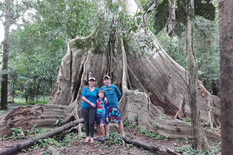 L&#039;Odyssée de l&#039;Amazonie : Explorez les merveilles de la forêt tropicale grâce à nos circuits !