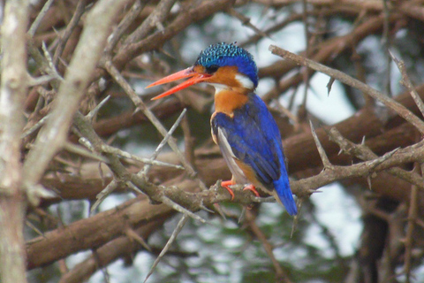 Hluhluwe-iMfolozi Park - Open Safari Vehicle Game Drives
