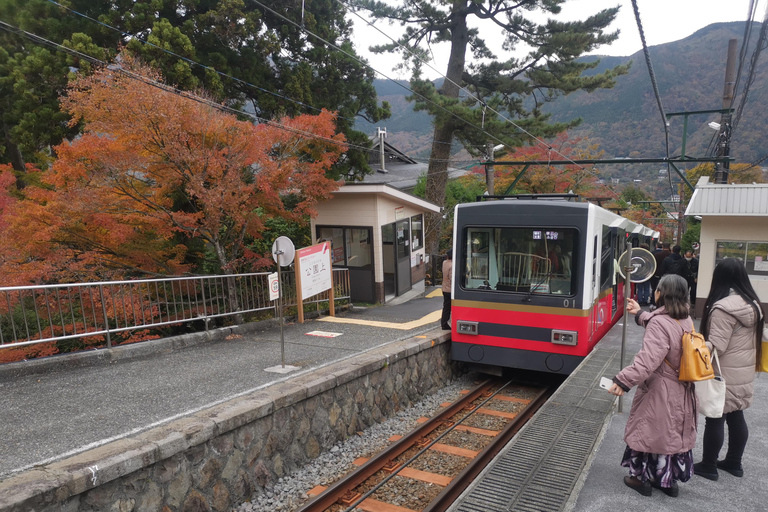 Osaka to Tokyo 3-Day Private Tour: Luxury Alphard & Mt. Fuji