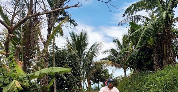 X Quad Beginner Premium Waterfall Tour: 1 Driver+1 Passenger
