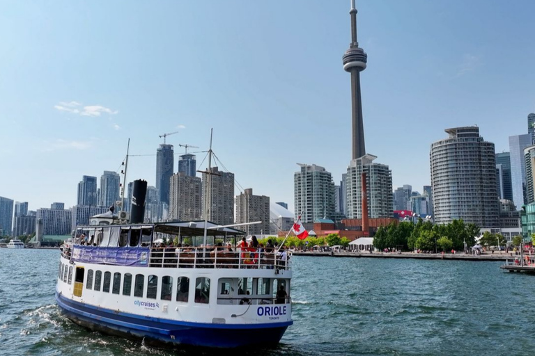 Toronto: Private City Tour with CN Tower & Cruise