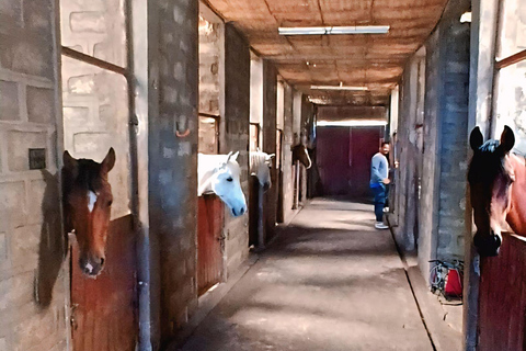Addis Ababa: Horse Riding & Wild Hyena Adventure near Entoto