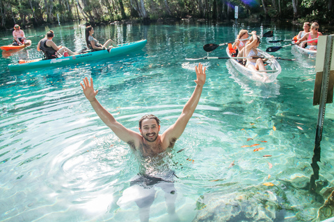 Crystal River: Three Sisters Spring Manatee Clear Kayak Tour