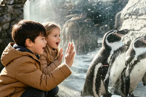 Seattle: Woodland Park Zoo Wildlife Guided Tour