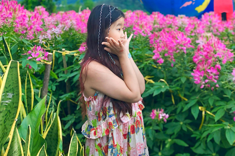 宿雾：Sirao 花园、莉亚神庙和 La Vie 之旅宿务：西劳花园、莉亚神庙和 La Vie 之旅