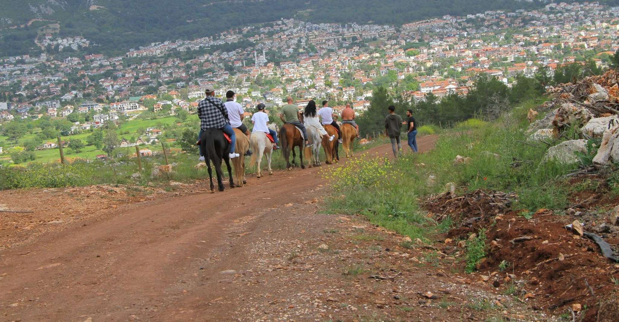 Icmeler Horse Riding Through The Rivers and Forest - Housity