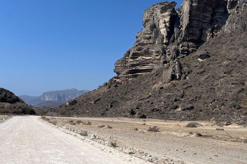 塞拉莱：乳香之路、骆驼农场和海滩之旅