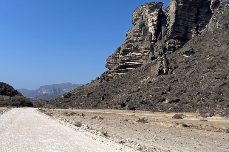 塞拉莱：乳香之路、骆驼农场和海滩之旅