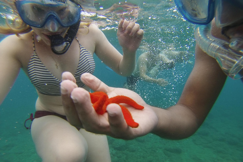 Marsella: Aventura de snorkel en Endoume con aperitivos y bebidas