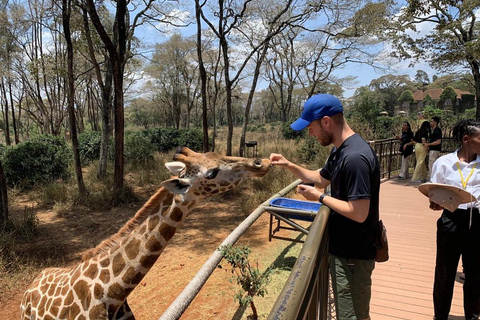 Nairobi: Giraffe Center And Karen Blixen Tour Giraffe Centre, Elephant Orphanage And Karen Blixen
