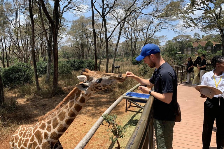 Nairobi: Giraffe Center And Karen Blixen Tour Giraffe Centre, Elephant Orphanage And Karen Blixen